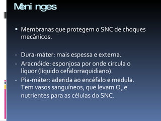 Meninges Membranas que protegem o SNC de choques mecânicos. Dura-máter: mais espessa e externa. Aracnóide: esponjosa por onde circula o líquor (liquido cefalorraquidiano) Pia-máter: aderida ao encéfalo e medula. Tem vasos sanguíneos, que levam O 2  e nutrientes para as células do SNC. 