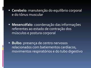 Cerebelo : manutenção do equilíbrio corporal e do tônus muscular Mesencéfalo : coordenação das informações referentes ao estado de contração dos músculos e postura corporal Bulbo : presença de centro nervosos relacionados com batiementos cardíacos, movimentos respiratórios e do tubo digestivo 