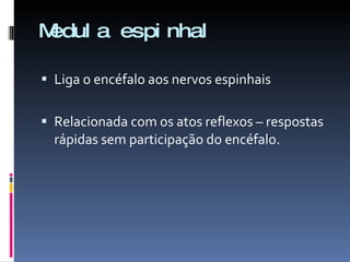 Medula espinhal Liga o encéfalo aos nervos espinhais Relacionada com os atos reflexos – respostas rápidas sem participação do encéfalo. 