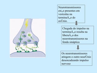 Neurotransmissores estão presentes em vesículas na terminação do axônio.  Chegada do impulso na terminação resulta na liberação dos neurotransmissores na fenda sináptica Os neurotransmissores atingem o outro neurônio desencadeando impulso nervoso 