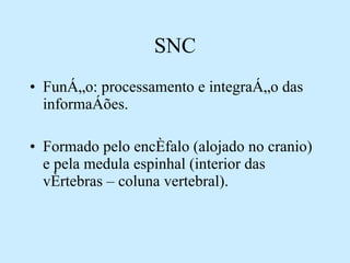 SNC Função: processamento e integração das informações. Formado pelo encéfalo (alojado no cranio) e pela medula espinhal (interior das vértebras – coluna vertebral). 