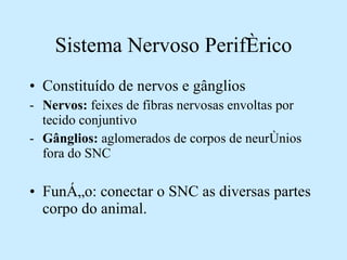 Sistema Nervoso Periférico Constituído de nervos e gânglios Nervos:  feixes de fibras nervosas envoltas por tecido conjuntivo Gânglios:  aglomerados de corpos de neurônios fora do SNC Função: conectar o SNC as diversas partes corpo do animal. 