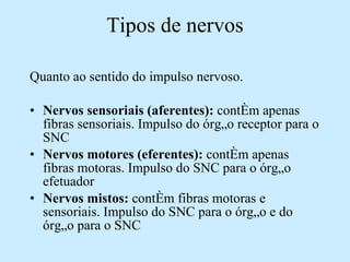Tipos de nervos Quanto ao sentido do impulso nervoso. Nervos sensoriais (aferentes):  contém apenas fibras sensoriais. Impulso do órgão receptor para o SNC Nervos motores (eferentes):  contém apenas fibras motoras. Impulso do SNC para o órgão efetuador Nervos mistos:  contém fibras motoras e sensoriais. Impulso do SNC para o órgão e do órgão para o SNC 