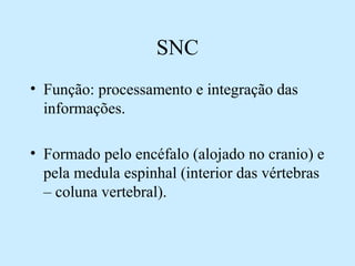 SNC
• Função: processamento e integração das
informações.
• Formado pelo encéfalo (alojado no cranio) e
pela medula espinhal (interior das vértebras
– coluna vertebral).
 