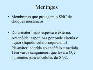 Meninges
• Membranas que protegem o SNC de
choques mecânicos.
- Dura-máter: mais espessa e externa.
- Aracnóide: esponjosa por onde circula o
líquor (liquido cefalorraquidiano)
- Pia-máter: aderida ao encéfalo e medula.
Tem vasos sanguíneos, que levam O2 e
nutrientes para as células do SNC.
 
