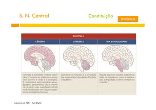 S. N. Central
Adaptado de 9CN – Aula Digital
Constituição
ENCÉFALO