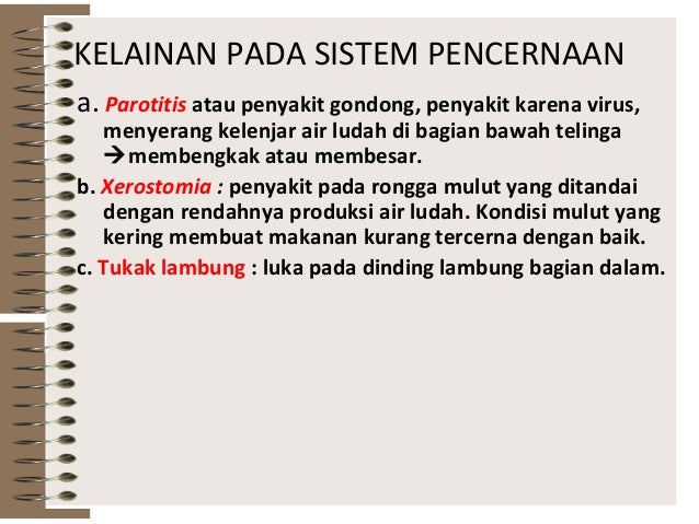 Sist Pencernaan Pada Manusia