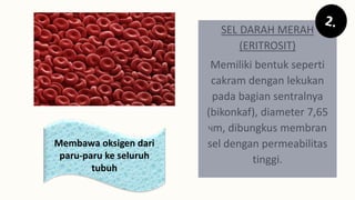 SEL DARAH MERAH
(ERITROSIT)
Memiliki bentuk seperti
cakram dengan lekukan
pada bagian sentralnya
(bikonkaf), diameter 7,65
Чm, dibungkus membran
sel dengan permeabilitas
tinggi.
Membawa oksigen dari
paru-paru ke seluruh
tubuh
 