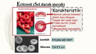 Eritrosit (Sel darah merah)
Karakteristik:
Bentuk cakram bikonkaf
(lebih tipis dibagian
tengah dari pada tepi)
Tidak berinti (tidak
bernukleus)
Mengandung hemoglobin
Jumlah 4-5 juta sel/ mm3
Ukuran 7,5-7,7 µm
 
