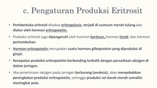 c. Pengaturan Produksi Eritrosit
• Pembentuka eritrosit disebut eritropoiesis, terjadi di sumsum merah tulang dan
diatur oleh hormon eritropoietin.
• Produksi eritrosit juga dipengaruhi oleh hormon kortison, hormon tiroid, dan hormon
pertumbuhan.
• Hormon eritropoietin merupakan suatu hormon glikoprotein yang diproduksi di
ginjal.
• Kecepatan produksi eritropoietin berbanding terbalik dengan persediaan oksigen di
dalam jaringan.
• Jika penerimaan oksigen pada jaringan berkurang (anoksia), akan menyebabkan
peningkatan produksi eritropoietin, sehingga produksi sel darah merah semakin
meningkat pula.
 
