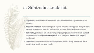 a. Sifat-sifat Leukosit
 Diapedesis, mampu keluar menembus pori-pori membran kapiler menuju ke
jaringan.
 Bergerak ameboid, mampu bergerak seperti amoeba sehingga sel menjadi lebih
panjang hingga mencapai tiga kali panjang sel awal dalam waktu satu menit.
 Kemotakis, pelepasan zat kimia oleh jaringan yang rusak menyebabkan leukosit
bergerak mendekati (kemotaksis poitif) atau menjauhi (kemotaksis negatif)
sumber zat.
 Fagositosis, mampu menelan mikroorganisme, benda asing, dan sel-sel darah
merah yang sudah tua atau rusak.
 
