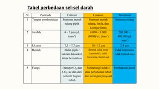 No Pembeda Eritrosit Leukosit Trombosit
1 Tempat pembentukan Sumsum merah
tulang pipih
Sumsum merah
tulang, limfa, dan
kelenjar limfa
Sumsum tulang
2 Jumlah 4 – 5 juta/µL
(mm3)
6.000 – 9.000
(8000)/µL (mm3)
200.000 –
400.000/µL
(mm3)
3 Ukuran 7,5 – 7,7 µm 10 - 12 µm 2-4 µm
4 Bentuk Bulat pipih /
cakram bikonkaf,
tidak bernukleus
Bentuk tidak tetap
(ameboid), tidak
berwarna, berinti sel
Tidak beraturan,
tidak bernukleus
5 Fungsi Transpor O2 dan
CO2 ke dan dari
seluruh bagian
tubuh
Memerangi infeksi
atau pertahanan tubuh
dari serangan penyakit
Pembekuan darah
Tabel perbedaan sel-sel darah
 
