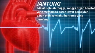 JANTUNG
adalah sebuah rongga, rongga organ berotot
yang memompa darah lewat pembuluh
darah oleh kontraksi berirama yang
berulang.
 