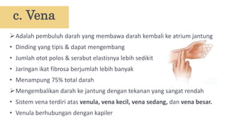 Adalah pembuluh darah yang membawa darah kembali ke atrium jantung
• Dinding yang tipis & dapat mengembang
• Jumlah otot polos & serabut elastisnya lebih sedikit
• Jaringan ikat fibrosa berjumlah lebih banyak
• Menampung 75% total darah
Mengembalikan darah ke jantung dengan tekanan yang sangat rendah
• Sistem vena terdiri atas venula, vena kecil, vena sedang, dan vena besar.
• Venula berhubungan dengan kapiler
c. Vena
 