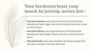 Vena berukuran besar yang
masuk ke jantung, antara lain :
– Vena kava superior, vena yang menerima darah kaya karbon
dioksida dari tubuh bagian atas (leher & kepala) kemudian masuk
ke atrium kanan
– Vena kava inferior, vena yang menerima darah kaya karbon
dioksida dari tubuh bagian bawah, kemudian masuk ke atrium
kanan.
– Vena pulmonalis, vena yang membawa darah kaya oksigen dari
paru-paru kemudian masuk ke atrium kiri.
 