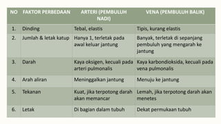 NO FAKTOR PERBEDAAN ARTERI (PEMBULUH
NADI)
VENA (PEMBULUH BALIK)
1. Dinding Tebal, elastis Tipis, kurang elastis
2. Jumlah & letak katup Hanya 1, terletak pada
awal keluar jantung
Banyak, terletak di sepanjang
pembuluh yang mengarah ke
jantung
3. Darah Kaya oksigen, kecuali pada
arteri pulmonalis
Kaya karbondioksida, kecuali pada
vena pulmonalis
4. Arah aliran Meninggalkan jantung Menuju ke jantung
5. Tekanan Kuat, jika terpotong darah
akan memancar
Lemah, jika terpotong darah akan
menetes
6. Letak Di bagian dalam tubuh Dekat permukaan tubuh
 