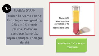 PLASMA DARAH
(cairan berwarna bening
kekuningan, mengandung
92% air, 7% protein
plasma, 1% bahan
campuran kompleks
organik anorganik dan gas
darah) membawa CO2 dan sari
makanan.
 