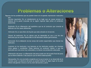 Algunos de los problemas que se pueden tener en el aparato reproductor masculino
son:
 Hernias inguinales: Es un abultamiento en la ingle que se causa porque un
defecto de la pared muscular de la región inguinal deja entrar el contenido
abdominal.
 Epidimitis: Es la inflamación del epidídimo que es el conducto que conecta el
testículo con los vasos deferentes.
 Hidrocele: Es un saco lleno de líquido que esta ubicado en el escroto.
 Cáncer de testículos: Es un cáncer que se desarrolla en uno o en los dos
testículos que se suelen desarrollar en las llamadas células germinativas.
 Varicocele: Es la dilatación de las venas del cordón espermático que drenan los
testículos.
 Lesiones en los testículos: Las lesiones en los testículos pueden ser diversas
como golpes o accidentes. Estas lesiones se producen debido a que los
testículos son una zona muy vulnerable y no tienen una protección adecuada.
 Inflamación del pene: La inflamación del pene puede ser de la parte final del pene
que se llama balanitis o del prepucio que se llama balanopostitis.
 Hipospadias: Es una anomalía congénita por la que el pene no se desarrolla de la
manera usual. La abertura del pene se puede localizar en algún lugar en la parte
inferior del glande o tronco o en la unión del escroto y pene.
 