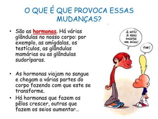 O QUE É QUE PROVOCA ESSAS MUDANÇAS?São as hormonas. Há várias glândulas no nosso corpo: por exemplo, as amígdalas, os testículos, as glândulas mamárias ou as glândulas sudoríparas.As hormonas viajam no sangue e chegam a várias partes do corpo fazendo com que este se transforme. Há hormonas que fazem os pêlos crescer, outras que fazem os seios aumentar… 
