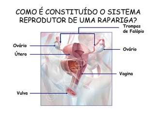 COMO É CONSTITUÍDO O SISTEMA REPRODUTOR DE UMA RAPARIGA?Trompas de FalópioOvárioOvárioÚteroVaginaVulva