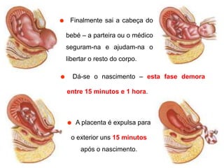 ˜Finalmente sai a cabeça do bebé – a parteira ou o médico seguram-na e ajudam-na o libertar o resto do corpo.˜Dá-se o nascimento – esta fase demora entre 15 minutos e 1 hora.˜A placenta é expulsa para o exterior uns 15 minutos após o nascimento.