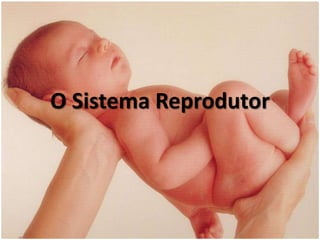 O Sistema Reprodutor 
