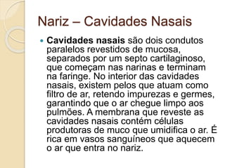 Nariz – Cavidades Nasais 
 Cavidades nasais são dois condutos 
paralelos revestidos de mucosa, 
separados por um septo cartilaginoso, 
que começam nas narinas e terminam 
na faringe. No interior das cavidades 
nasais, existem pelos que atuam como 
filtro de ar, retendo impurezas e germes, 
garantindo que o ar chegue limpo aos 
pulmões. A membrana que reveste as 
cavidades nasais contém células 
produtoras de muco que umidifica o ar. É 
rica em vasos sanguíneos que aquecem 
o ar que entra no nariz. 
 