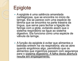 Epiglote 
 A epiglote é uma saliência amarelada 
cartilaginosa, que se encontra no início da 
laringe. Ela se parece com uma espécie de 
lâmina que se encontra na parte traseira da 
língua, que serve para fechar a ligação da 
faringe com a glote, evitando assim que o 
sistema respiratório se ligue ao sistema 
digestivo. Ela funciona como uma espécie de 
válvula da laringe. 
 A função da epiglote é evitar que alimentos e 
bebidas entrem na via respiratória; ela se abre 
quando engolimos algo, permitindo que os 
alimentos que ingerimos passem com segurança 
para o sistema digestório. A falha desta abertura 
resulta em engasgamento. 
 