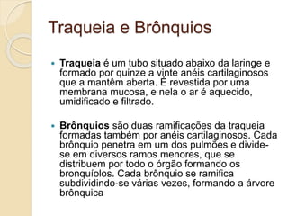 Traqueia e Brônquios 
 Traqueia é um tubo situado abaixo da laringe e 
formado por quinze a vinte anéis cartilaginosos 
que a mantêm aberta. É revestida por uma 
membrana mucosa, e nela o ar é aquecido, 
umidificado e filtrado. 
 Brônquios são duas ramificações da traqueia 
formadas também por anéis cartilaginosos. Cada 
brônquio penetra em um dos pulmões e divide-se 
em diversos ramos menores, que se 
distribuem por todo o órgão formando os 
bronquíolos. Cada brônquio se ramifica 
subdividindo-se várias vezes, formando a árvore 
brônquica 
 