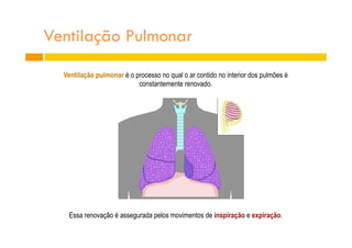Ventilação pulmonar é o processo no qual o ar contido no interior dos pulmões é
constantemente renovado.
Essa renovação é assegurada pelos movimentos de inspiração e expiração.
Ventilação Pulmonar
 