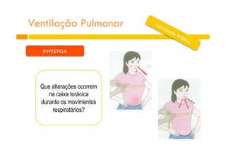 INVESTIGA
Ventilação Pulmonar
Que alterações ocorrem
na caixa torácica
durante os movimentos
respiratórios?
 
