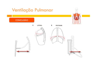 Ventilação Pulmonar
CONCLUSÃO
 