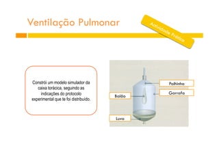 Ventilação Pulmonar
Palhinha
Balão
Garrafa
Luva
Constrói um modelo simulador da
caixa torácica, seguindo as
indicações do protocolo
experimental que te foi distribuído.
 