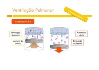 Ventilação Pulmonar
Diminuição
do volume
Aumento da
pressão
Aumento do
volume
Diminuição
da pressão
INTERPRETAÇÃO
 