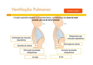 Ventilação Pulmonar
Contracção dos músculos
respiratórios
Relaxamento dos
músculos respiratórios
Aumento do volume
Diminuição do volume
Diminuição da pressão
intrapulmonar
Aumento da pressão
intrapulmonar
Ar entra Ar sai
CONCLUSÃO
A função respiratória obedece a um conceito básico, o ar desloca-se das áreas de maior
pressão, para as de menor pressão
 