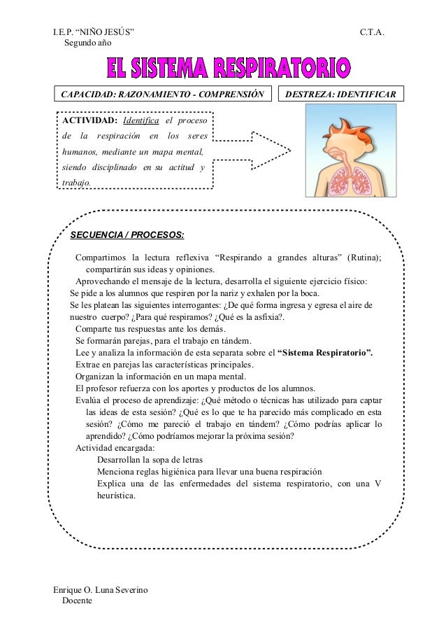 SISTEMA RESPIRATORIO