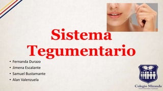 Sistema
Tegumentario• Fernanda Durazo
• Jimena Escalante
• Samuel Bustamante
• Alan Valenzuela
 