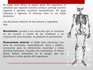 El tejido óseo forma la mayor parte del esqueleto, el
armazón que soporta nuestro cuerpo y protege nuestro
órganos y permite nuestros movimientos. De gran
robustez y ligereza, el sistema óseo es un tejido
dinámico.
Las funciones básicas de los huesos y esqueleto
son:

Movimiento: gracias a los músculos que se insertan
en los huesos a través de los tendones y su
contracción sincronizada, se produce el movimiento.
Homeostasis mineral: el tejido óseo almacena una
serie de minerales, especialmente calcio y fósforo,
necesarios para la contracción muscular y otras
muchas funciones. Cuando son necesarios, el hueso
libera dichos minerales en la sangre que los
distribuye a otras partes del organismo.

 