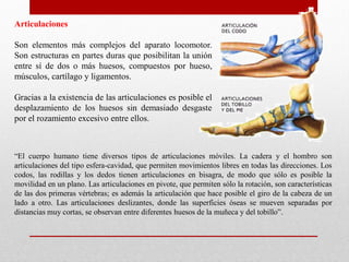 Articulaciones
Son elementos más complejos del aparato locomotor.
Son estructuras en partes duras que posibilitan la unión
entre sí de dos o más huesos, compuestos por hueso,
músculos, cartílago y ligamentos.
Gracias a la existencia de las articulaciones es posible el
desplazamiento de los huesos sin demasiado desgaste
por el rozamiento excesivo entre ellos.

“El cuerpo humano tiene diversos tipos de articulaciones móviles. La cadera y el hombro son
articulaciones del tipo esfera-cavidad, que permiten movimientos libres en todas las direcciones. Los
codos, las rodillas y los dedos tienen articulaciones en bisagra, de modo que sólo es posible la
movilidad en un plano. Las articulaciones en pivote, que permiten sólo la rotación, son características
de las dos primeras vértebras; es además la articulación que hace posible el giro de la cabeza de un
lado a otro. Las articulaciones deslizantes, donde las superficies óseas se mueven separadas por
distancias muy cortas, se observan entre diferentes huesos de la muñeca y del tobillo”.

 