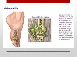 Sist tegumentario musclar-oseo