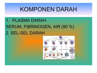KOMPONEN DARAH PLASMA DARAH SERUM, FIBRINOGEN, AIR (90 %) 2. SEL-SEL DARAH