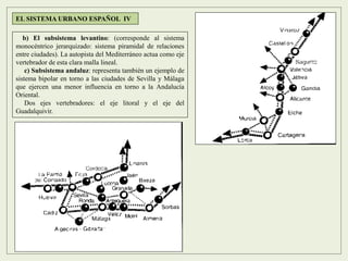 b) El subsistema levantino: (corresponde al sistema
monocéntrico jerarquizado: sistema piramidal de relaciones
entre ciudades). La autopista del Mediterráneo actua como eje
vertebrador de esta clara malla lineal.
c) Subsistema andaluz: representa también un ejemplo de
sistema bipolar en torno a las ciudades de Sevilla y Málaga
que ejercen una menor influencia en torno a la Andalucía
Oriental.
Dos ejes vertebradores: el eje litoral y el eje del
Guadalquivir.
EL SISTEMA URBANO ESPAÑOL IV
 