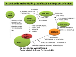ADULTO
MAYOR
0 A 24 MESES
AMBIENTE
INTRAUTERINO
25 A 59 MESES
ESCOLAR
ADULTO
MUJER
EN EDAD
FERTIL
MORTALIDAD MATERNA
MORBILIDAD
POBREZA
ANEMIA
MORBILIDAD
MORTALIDAD
DETERIORO COGNITIVO Y
PSICOMOTOR
MORBILIDAD
MORTALIDAD EN LA INFANCIA
BAJA CONCENTRACIÓN Y RENDIMIENTO
ENFERMEDADES
CRONICAS NO
TRANSMISIBLES
ENFERMEDADES
TRANSMISIBLES
TBC
ENFERMEDADES CRONICAS NO TRANSMISIBLES
BAJO RENDIMIENTO
DETERIORO COGNITIVO
EL CICLO DE LA MALNUTRICIÓN
Fuente: Adaptado de Branca, F. y Ferrari, M. 2002
El ciclo de la Malnutrición y sus efectos a lo largo del ciclo vital
MORBILIDAD
MORTALIDAD
TALLA BAJA
DETERIORO COGNITIVO
Y PSICOMOTOR
 
