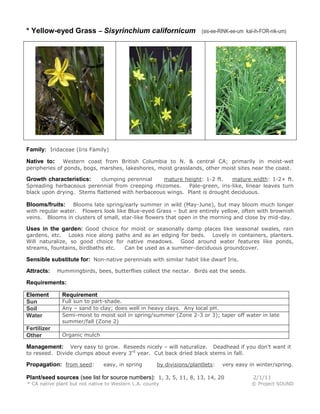 * Yellow-eyed Grass – Sisyrinchium californicum

(sis-ee-RINK-ee-um kal-ih-FOR-nik-um)

Family: Iridaceae (Iris Family)
Western coast from British Columbia to N. & central CA; primarily in moist-wet
peripheries of ponds, bogs, marshes, lakeshores, moist grasslands, other moist sites near the coast.

Native to:

clumping perennial
mature height: 1-2 ft.
mature width: 1-2+ ft.
Spreading herbaceous perennial from creeping rhizomes.
Pale-green, iris-like, linear leaves turn
black upon drying. Stems flattened with herbaceous wings. Plant is drought deciduous.

Growth characteristics:

Blooms late spring/early summer in wild (May-June), but may bloom much longer
with regular water. Flowers look like Blue-eyed Grass – but are entirely yellow, often with brownish
veins. Blooms in clusters of small, star-like flowers that open in the morning and close by mid-day.

Blooms/fruits:

Uses in the garden: Good choice for moist or seasonally damp places like seasonal swales, rain
gardens, etc. Looks nice along paths and as an edging for beds. Lovely in containers, planters.
Will naturalize, so good choice for native meadows. Good around water features like ponds,
streams, fountains, birdbaths etc.
Can be used as a summer-deciduous groundcover.

Sensible substitute for: Non-native perennials with similar habit like dwarf Iris.
Attracts:

Hummingbirds, bees, butterflies collect the nectar. Birds eat the seeds.

Requirements:
Element
Sun
Soil
Water
Fertilizer
Other

Requirement

Full sun to part-shade.
Any – sand to clay; does well in heavy clays. Any local pH.
Semi-moist to moist soil in spring/summer (Zone 2-3 or 3); taper off water in late
summer/fall (Zone 2)
Organic mulch

Very easy to grow. Reseeds nicely – will naturalize. Deadhead if you don’t want it
to reseed. Divide clumps about every 3rd year. Cut back dried black stems in fall.

Management:

Propagation: from seed:

easy, in spring

by divisions/plantlets:

very easy in winter/spring.

Plant/seed sources (see list for source numbers): 1, 3, 5, 11, 8, 13, 14, 20
* CA native plant but not native to Western L.A. county

2/1/11
© Project SOUND

 