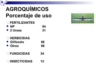AGROQUÍMICOS
Porcentaje de uso
� FERTILIZANTES
 NP 94
 2 Ureas 31
� HERBICIDAS
 Glifosato 66
 Otros 86
� FUNGICIDAS 34
� INSECTICIDAS 13
 