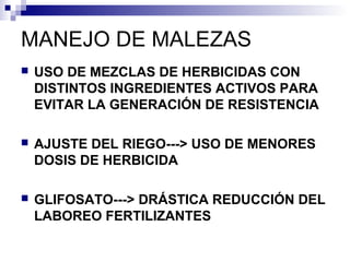 MANEJO DE MALEZAS
 USO DE MEZCLAS DE HERBICIDAS CON
DISTINTOS INGREDIENTES ACTIVOS PARA
EVITAR LA GENERACIÓN DE RESISTENCIA
 AJUSTE DEL RIEGO---> USO DE MENORES
DOSIS DE HERBICIDA
 GLIFOSATO---> DRÁSTICA REDUCCIÓN DEL
LABOREO FERTILIZANTES
 
