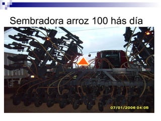 Sembradora arroz 100 hás día
 