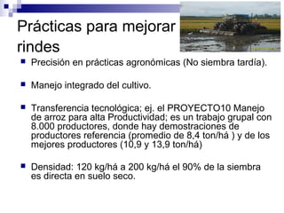 Prácticas para mejorar
rindes
 Precisión en prácticas agronómicas (No siembra tardía).
 Manejo integrado del cultivo.
 Transferencia tecnológica; ej. el PROYECTO10 Manejo
de arroz para alta Productividad; es un trabajo grupal con
8.000 productores, donde hay demostraciones de
productores referencia (promedio de 8,4 ton/há ) y de los
mejores productores (10,9 y 13,9 ton/há)
 Densidad: 120 kg/há a 200 kg/há el 90% de la siembra
es directa en suelo seco.
 