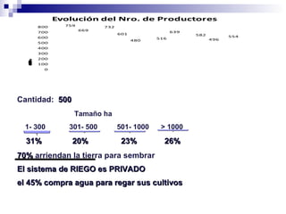 759
669
732
601
480
516
639
582
496
554
0
100
200
300
400
500
600
700
800
NúmerodeProductores
Evolución del Nro. de Productores
Cantidad: 500500
Tamaño ha
1- 300 301- 500 501- 1000 > 1000
31% 20% 23%31% 20% 23% 26%26%
70%70% arriendan la tierra para sembrar
El sistema de RIEGO es PRIVADOEl sistema de RIEGO es PRIVADO
elel 45%45% compra agua para regar sus cultivoscompra agua para regar sus cultivos
 