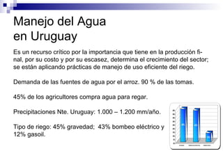 Manejo del Agua
en Uruguay
Es un recurso crítico por la importancia que tiene en la producción fi-
nal, por su costo y por su escasez, determina el crecimiento del sector;
se están aplicando prácticas de manejo de uso eficiente del riego.
Demanda de las fuentes de agua por el arroz. 90 % de las tomas.
45% de los agricultores compra agua para regar.
Precipitaciones Nte. Uruguay: 1.000 – 1.200 mm/año.
Tipo de riego: 45% gravedad; 43% bombeo eléctrico y
12% gasoil.
45% 43%
12%
0%
5%
10%
15%
20%
25%
30%
35%
40%
45%
GRAVEDAD BOMBEO ELECTRIFICADO BOMBEO DIESEL
 